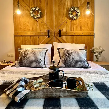 Jaśkowe Marzenie - Apartament z widokiem na Tatry w centrum Zakopanego-2